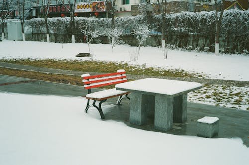 Bench in Winter