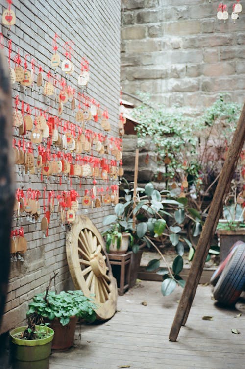 Potted Plants and Wheels in a Store 
