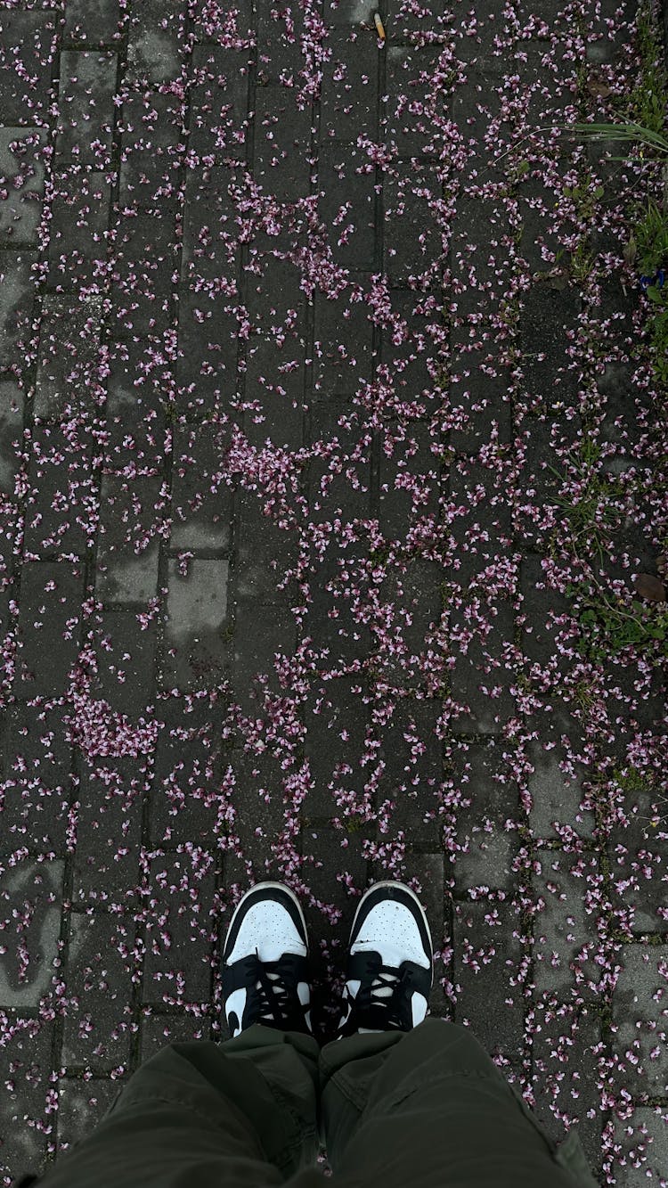 Person Legs In Sneakers On Pavement With Flowers Petals