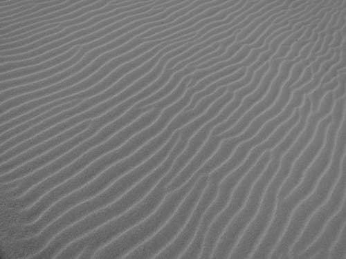 Бесплатное стоковое фото с засушливый, песок, пляж