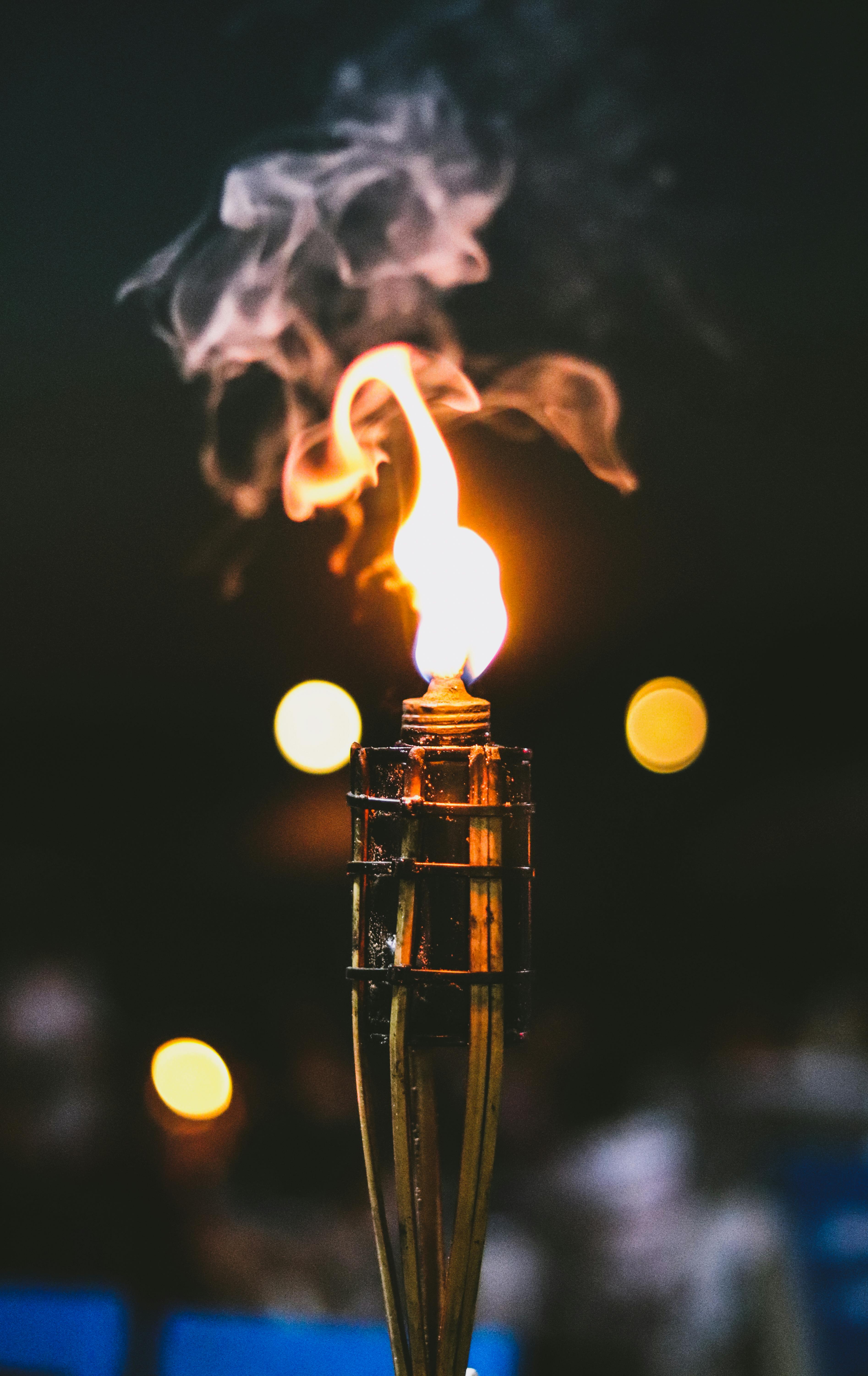 30 Carry Light Torch Fire On Stick Royalty-Free Images, Stock