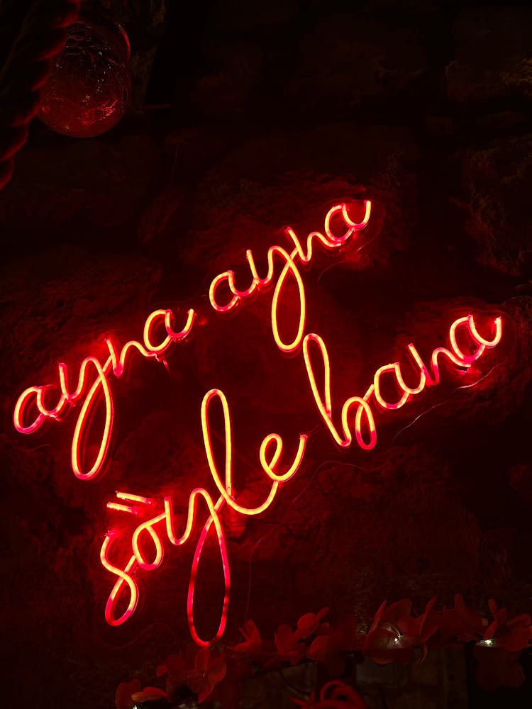 Red Neon Sign 