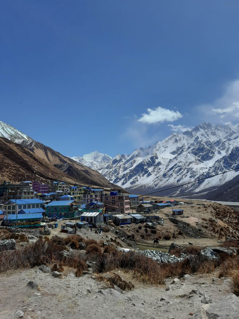 Langtang Valley Trek guide
