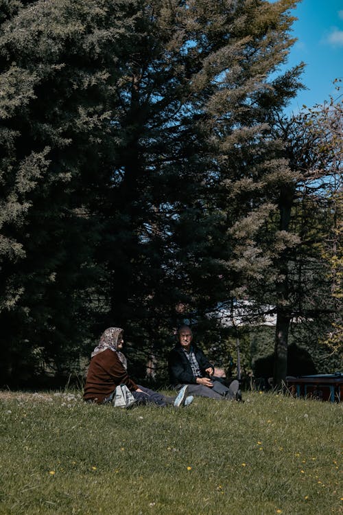 Elderly Couple Sitting in a Park 