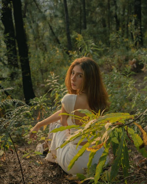 Immagine gratuita di alberi, capelli castani, capelli lunghi