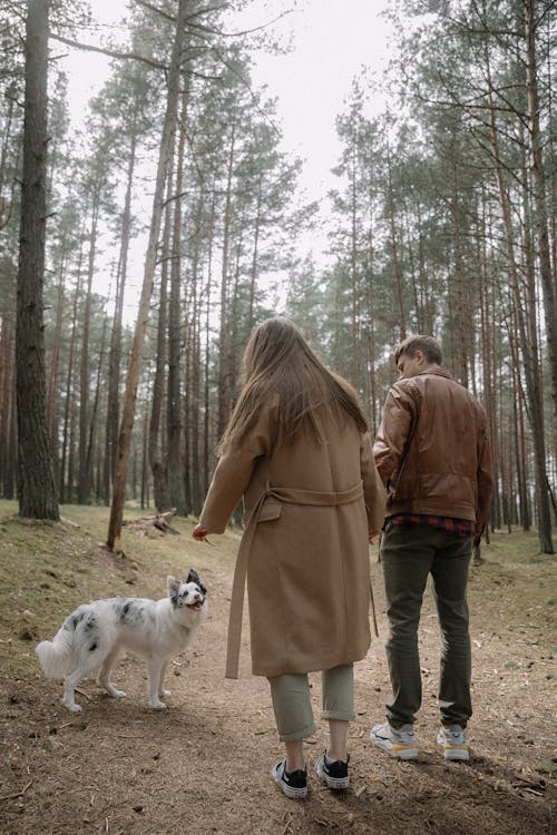 A Couple with a Dog in the Forest 