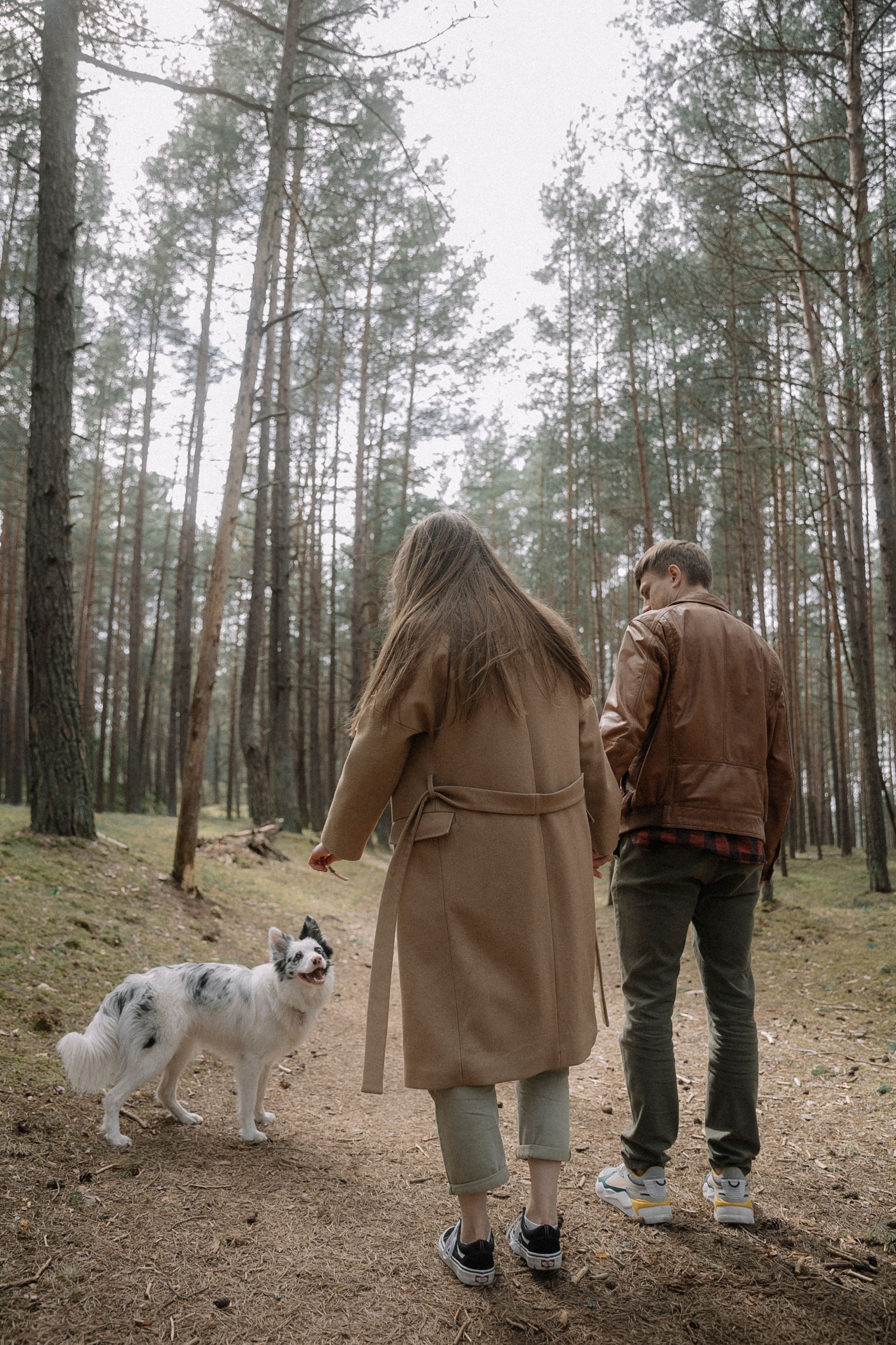 A Couple with a Dog in the Forest · Free Stock Photo