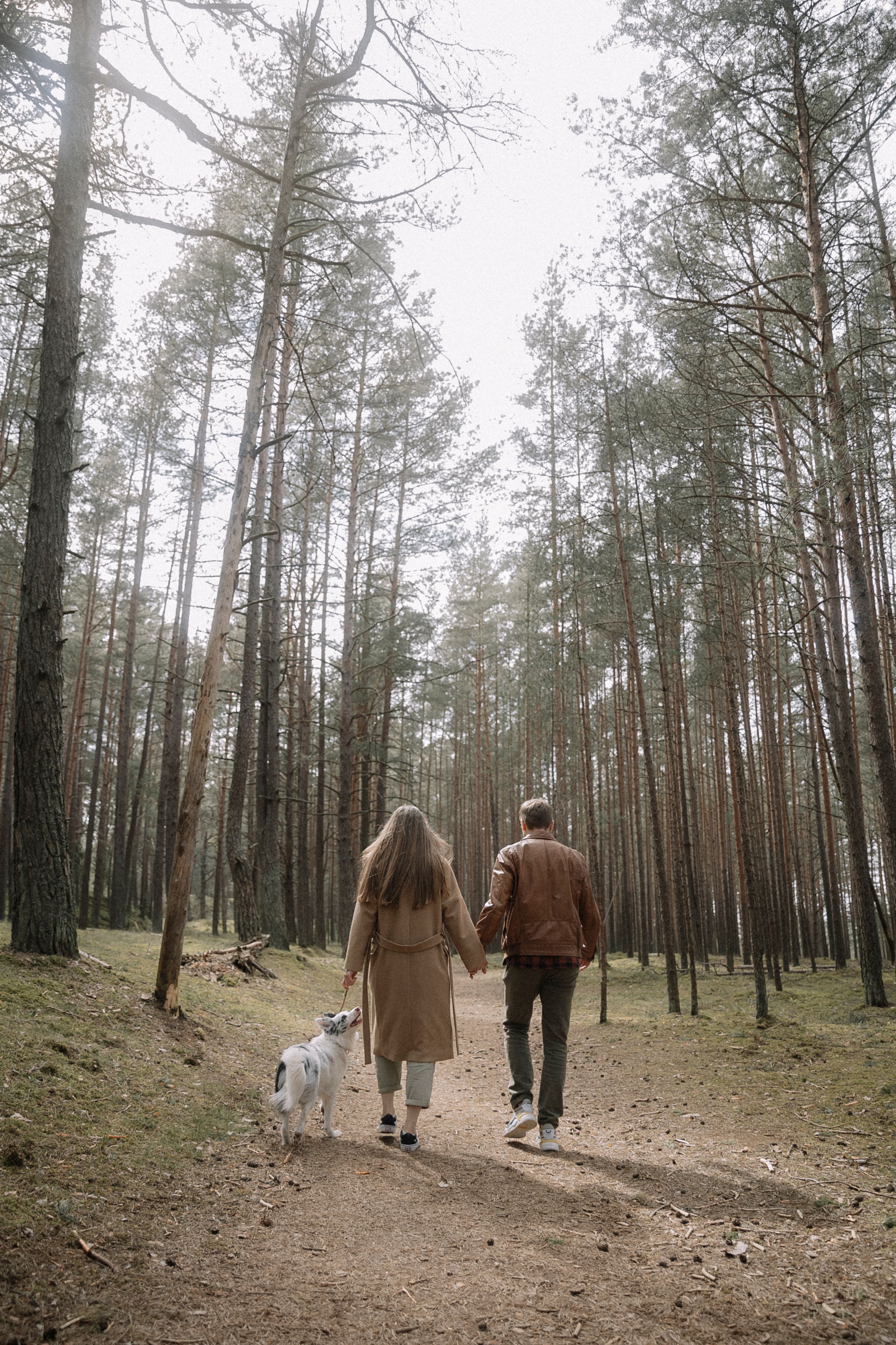 A Couple with a Dog in the Forest · Free Stock Photo