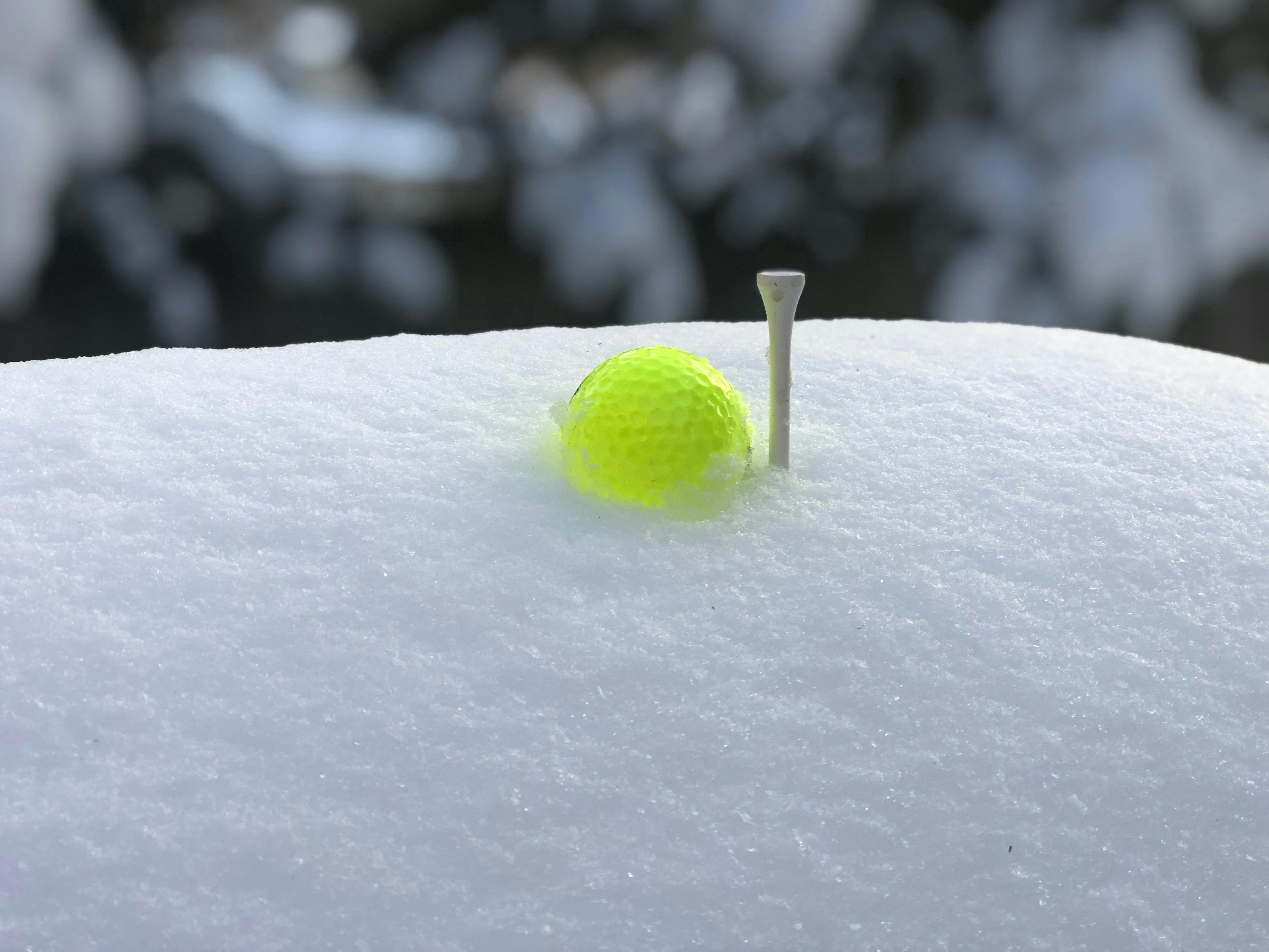 Free stock photo of golf, golf ball, snow