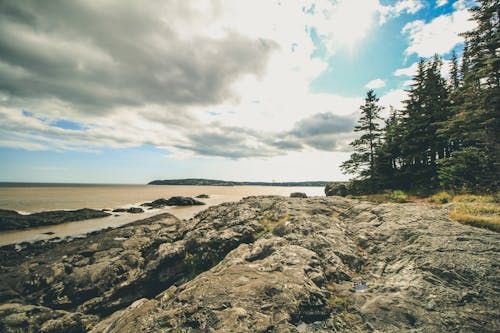 Free stock photo of canada, coastal, nature park