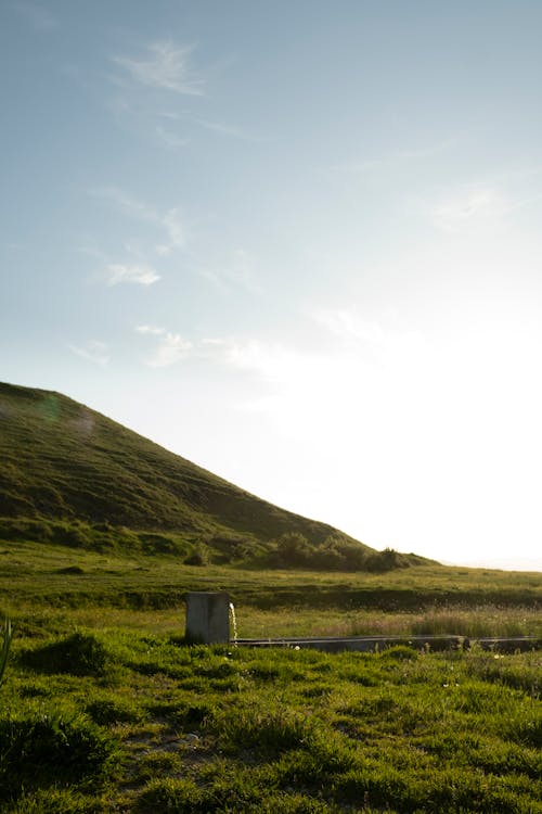 Kostenloses Stock Foto zu gras, hell, himmel