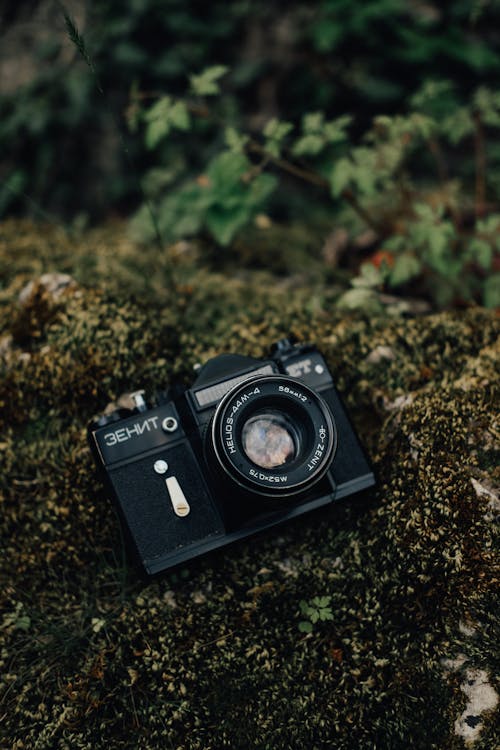 A Vintage Film Camera on a Rock covered with Moss 