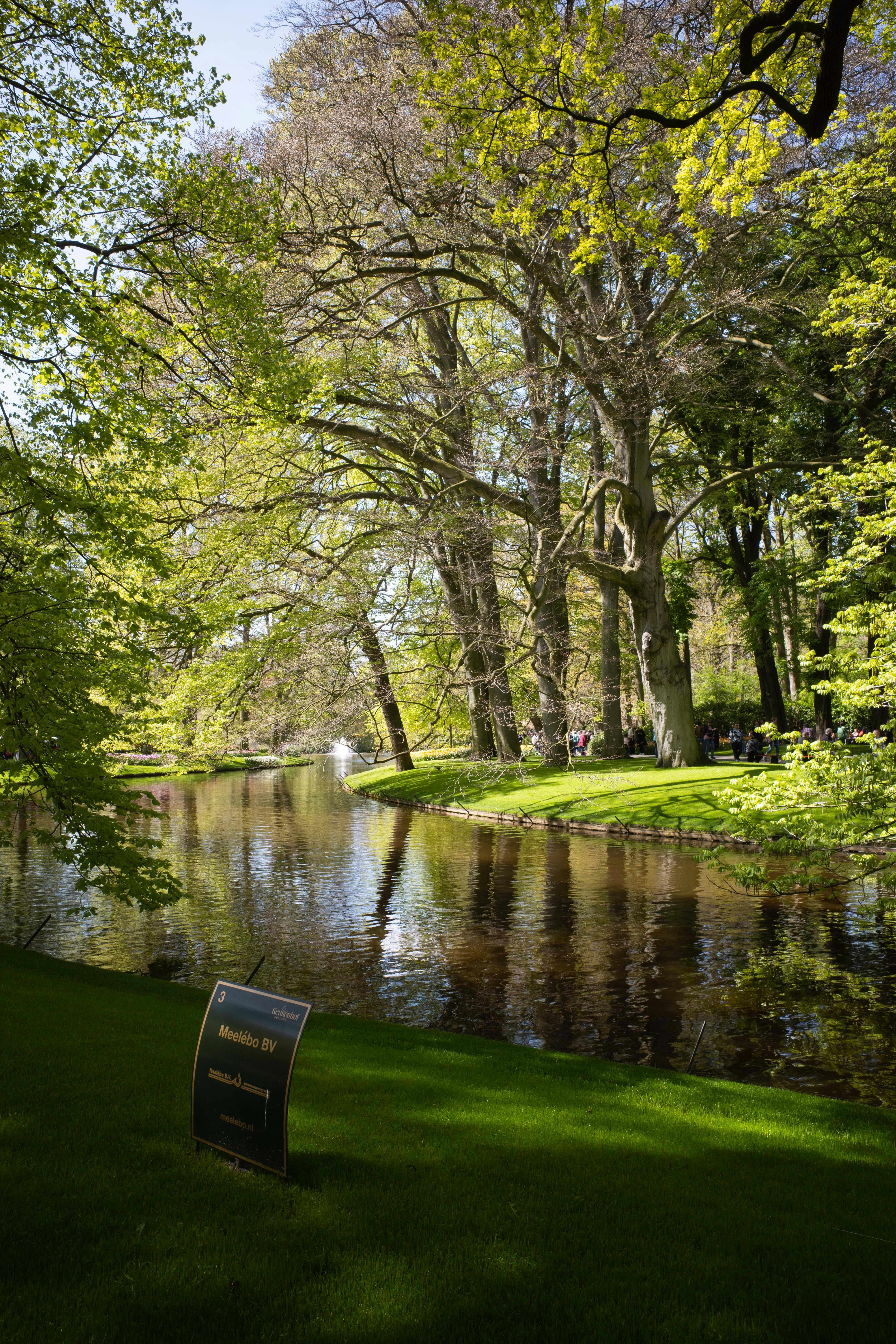 Tranquil park scene in Lisse, Netherlands, featuring lush trees, a river, and bright green grass.