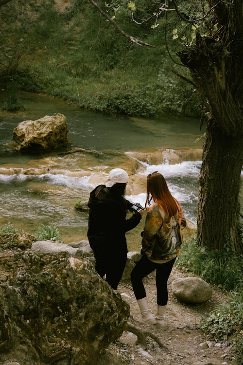 Imagine de stoc gratuită din apă curgătoare, arbore, codru