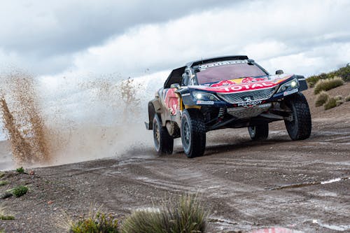 Foto d'estoc gratuïta de 3008 dkr, camí de carro, carrera