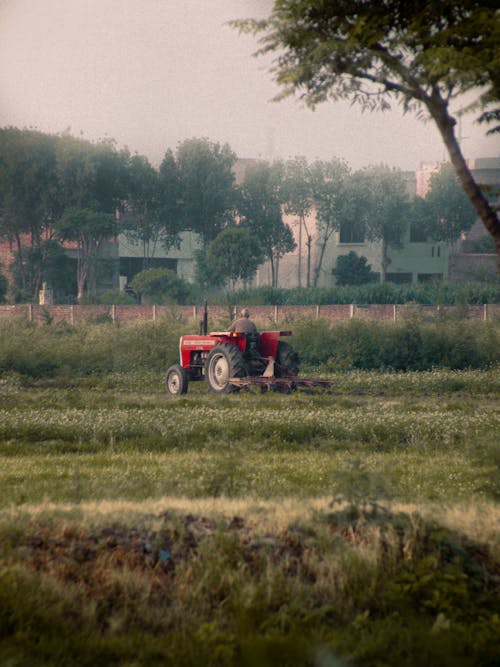 Δωρεάν στοκ φωτογραφιών με αγρότης, άνδρας, γεωργικός