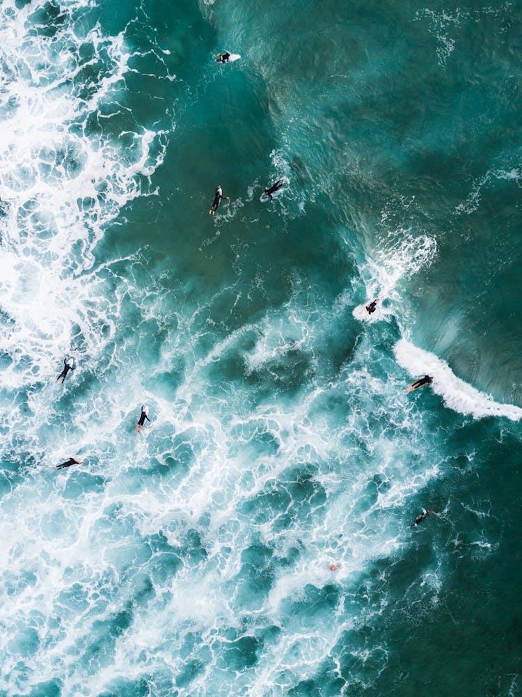 Bird's Eye View Of Body Of Water