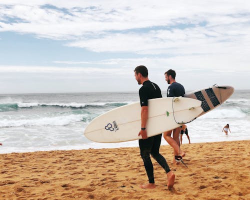무료 해변 근처에서 서핑 보드를 들고 두 남자 스톡 사진