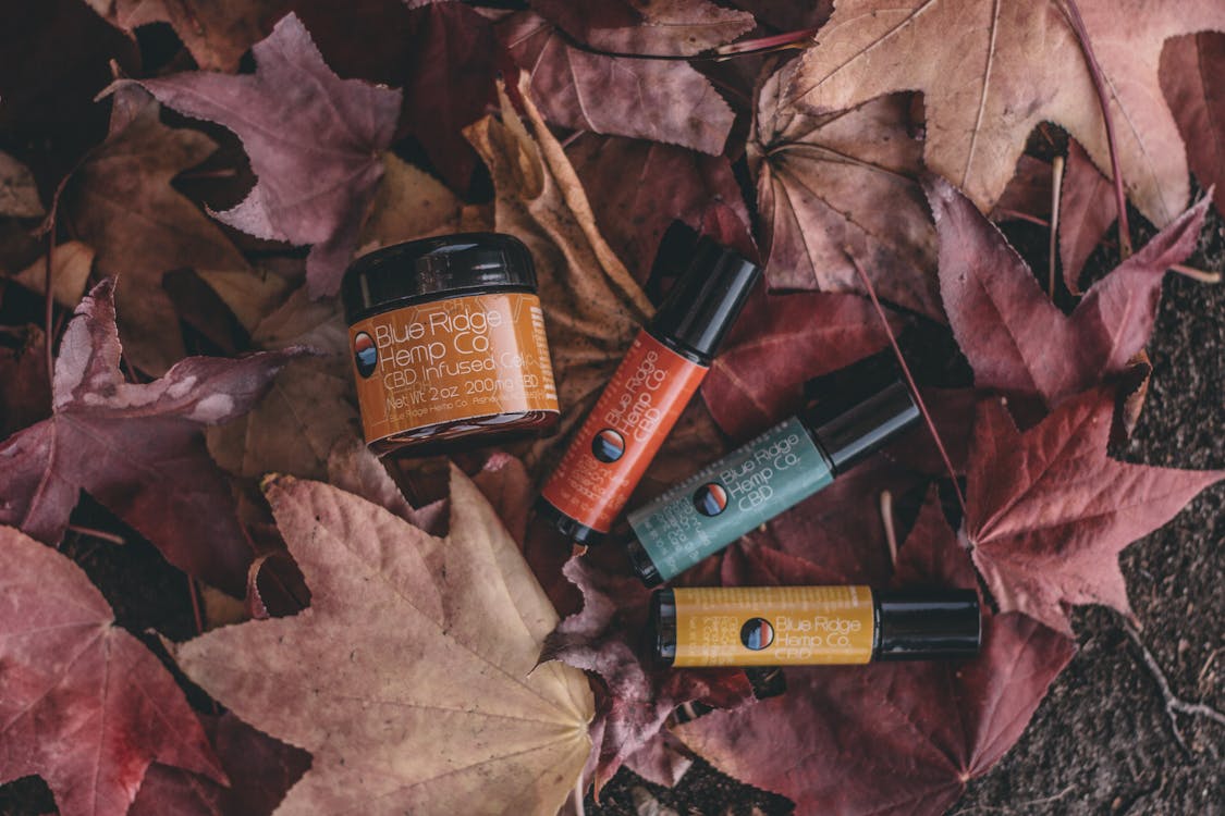 Flat Lay Photography of Several Product Bottles on Withered Leaves