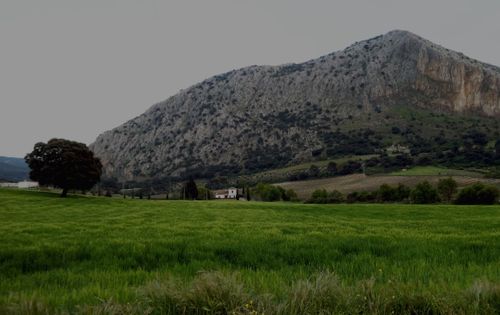 Free Captivating rural scene with lush greenery and towering rocky mountains. Stock Photo