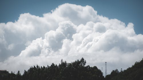 Fotobanka s bezplatnými fotkami na tému hora, les, mraky