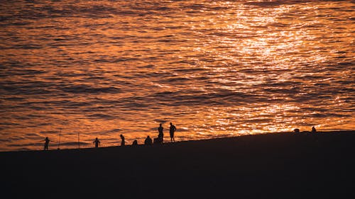 Fotos de stock gratuitas de amanecer, de pie, gente