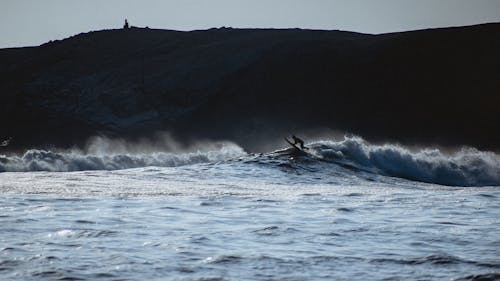 Fotos de stock gratuitas de dice adiós, estilos de vida, mar