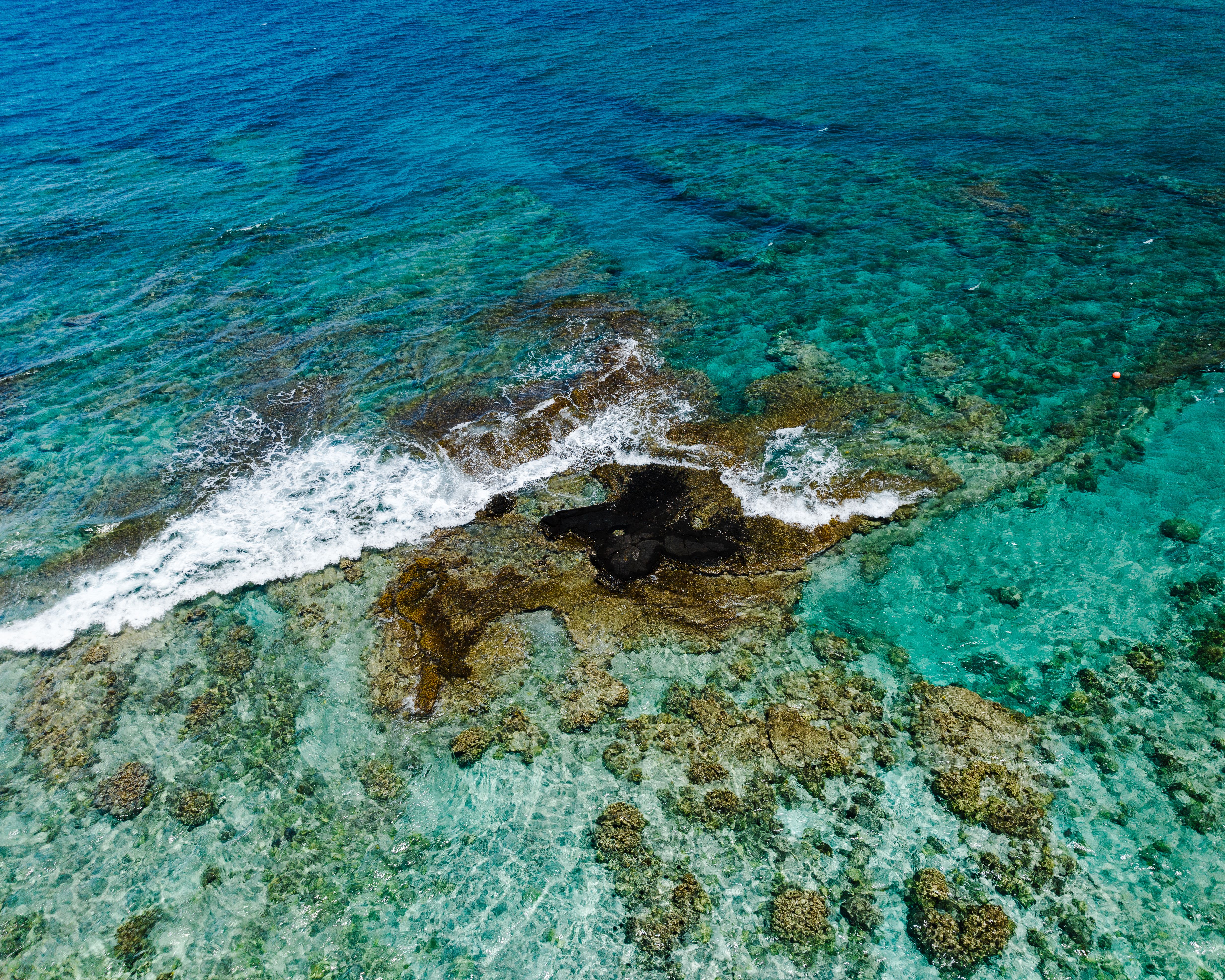 Basalt in the Ocean by the Beach of Hawaii · Free Stock Photo