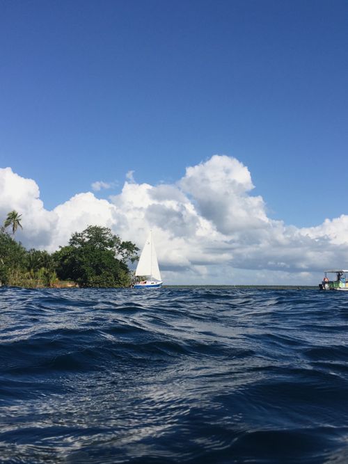 Free Idyllic view of a sailboat on Bacalar Lagoon, Mexico, with lush trees and clear blue sky. Stock Photo
