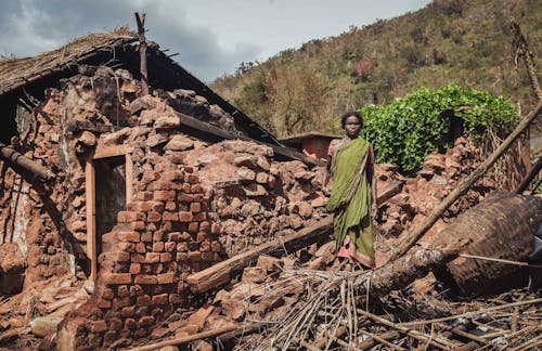 Kostnadsfri bild av Asien, hem, indien