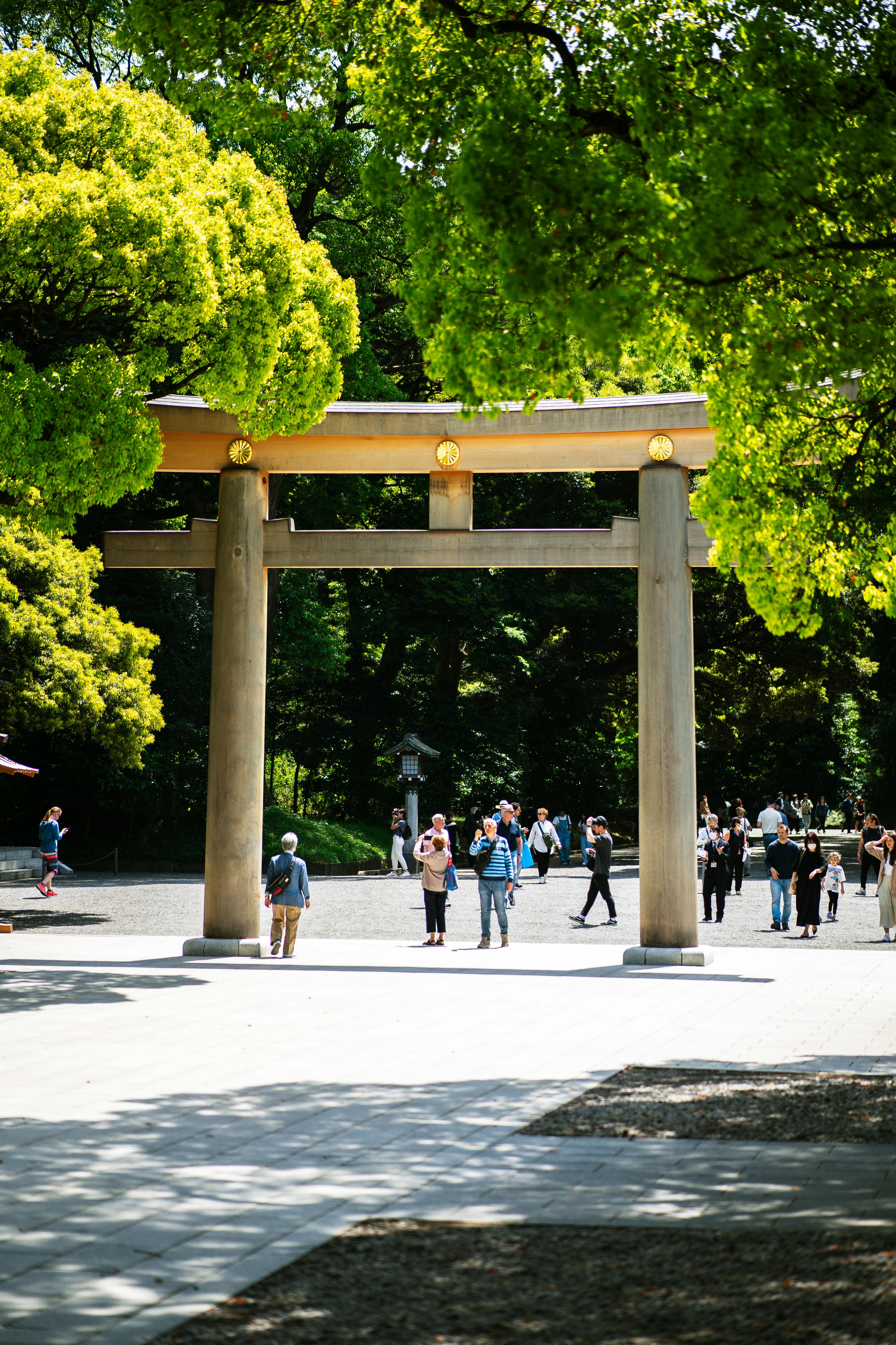 tourists at the meiji jingu nino torii