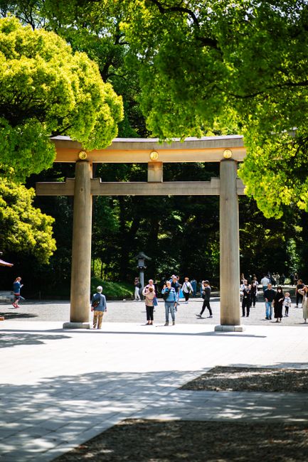Visitors at the iconic Meiji Jingu Torii gate under lush trees in Tokyo, Japan.