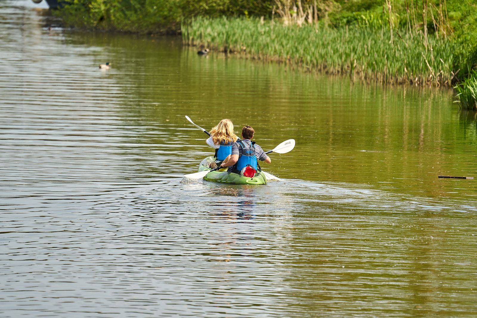 Couple kayaking on a tranquil river in summer.