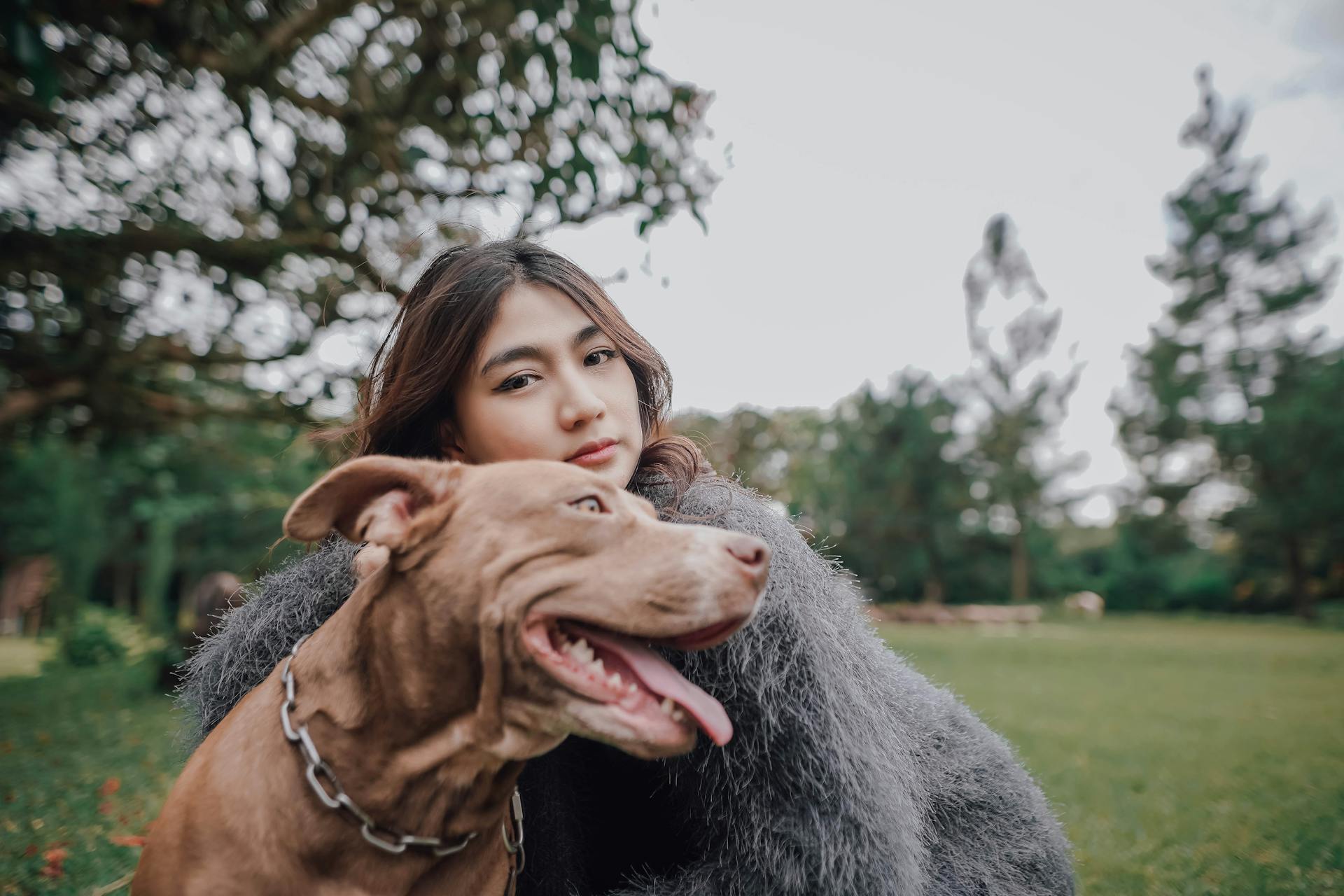 Portrait d'une femme avec son pit-bull