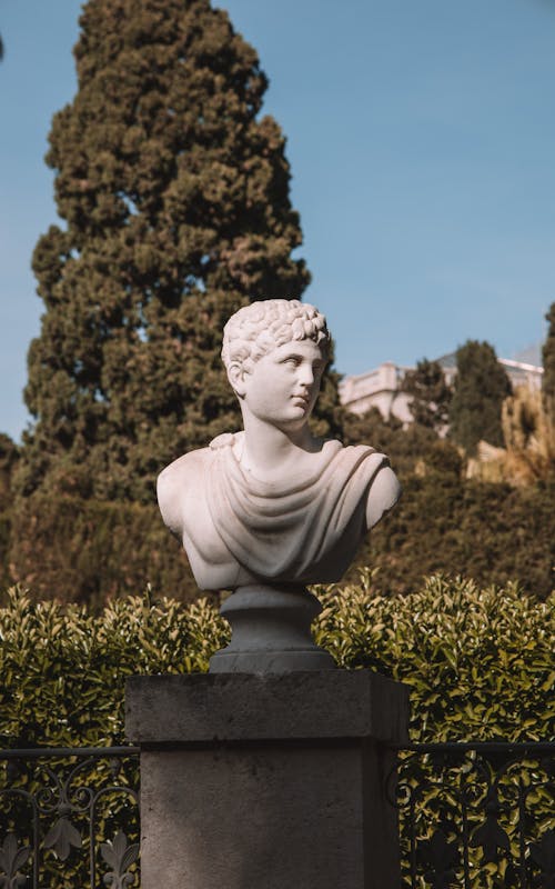 Close up of Bust in Garden