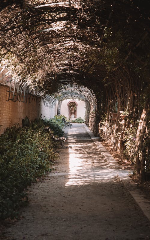 Immagine gratuita di archi, arco, giardini di monforte