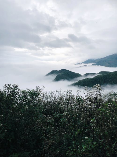 Immagine gratuita di coperto, montagne, nebbia