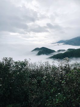 Tranquil mountain scene with clouds and mist covering lush valleys.