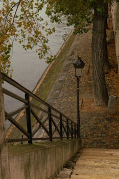Discover a serene autumn pathway by the Seine River in Paris, adorned with fallen leaves and classic street lamps.