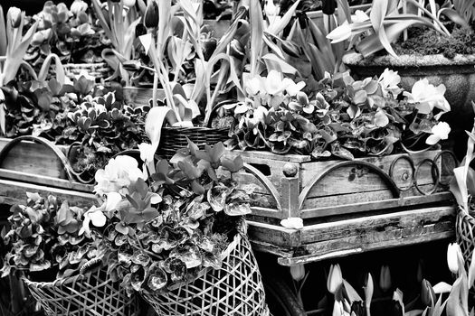 Free stock photo of art, cemetery, decoration