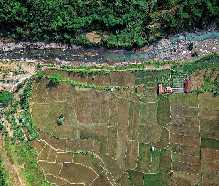 Getting Around Sekinchan: Exploring the Paddy Fields Getting Around Sekinchan: Exploring the Paddy Fields