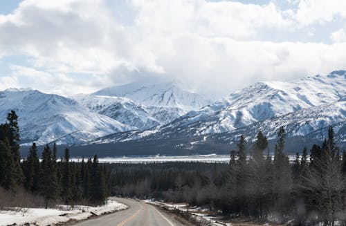 Road in Forest with Mountains behind