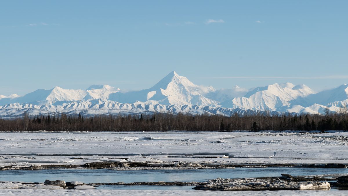 How to Enter Family Giveaways in Anchorage, Alaska Without Scams