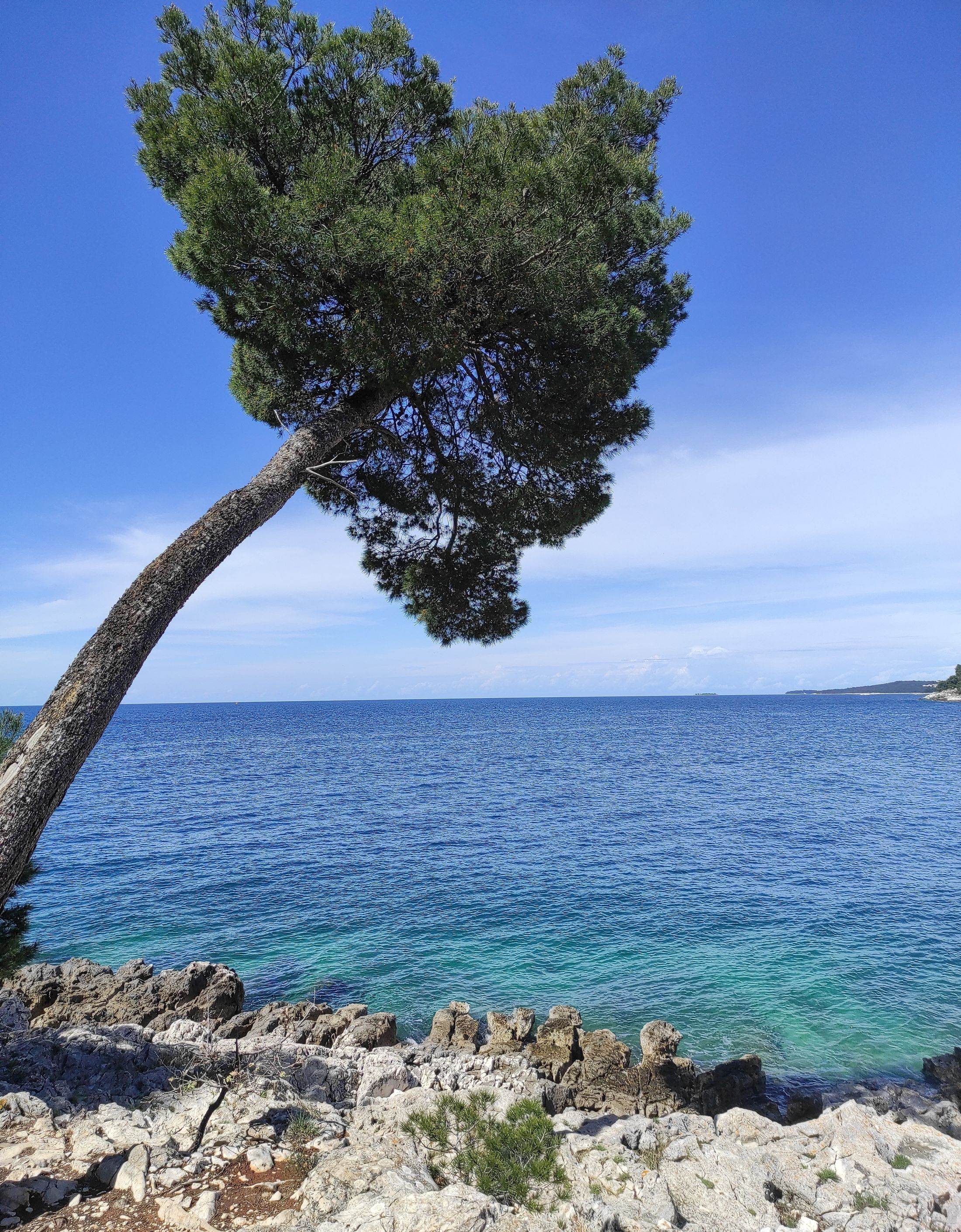 Istrie bez července, Istria