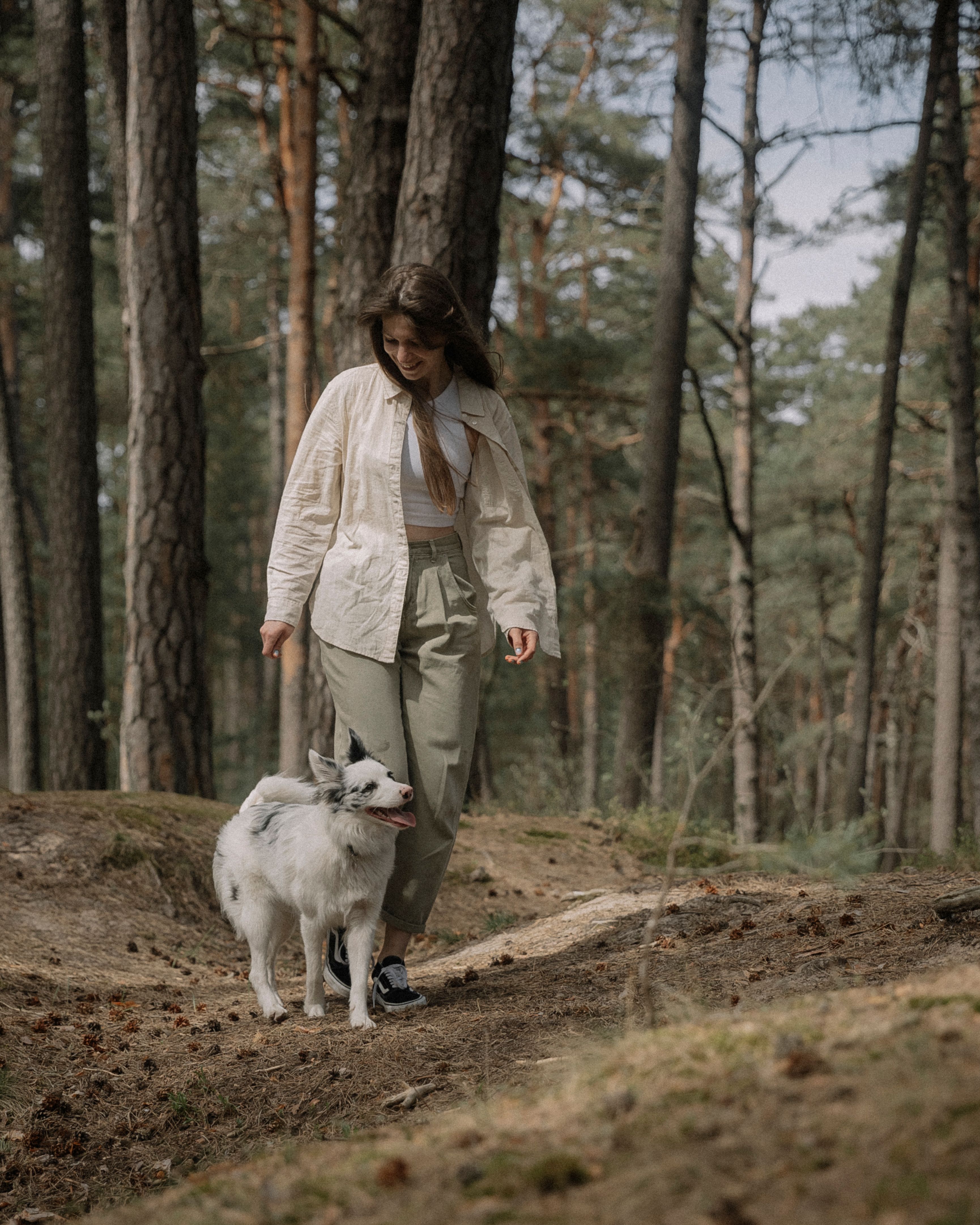 Strolling in the Woods with the Dog · Free Stock Photo
