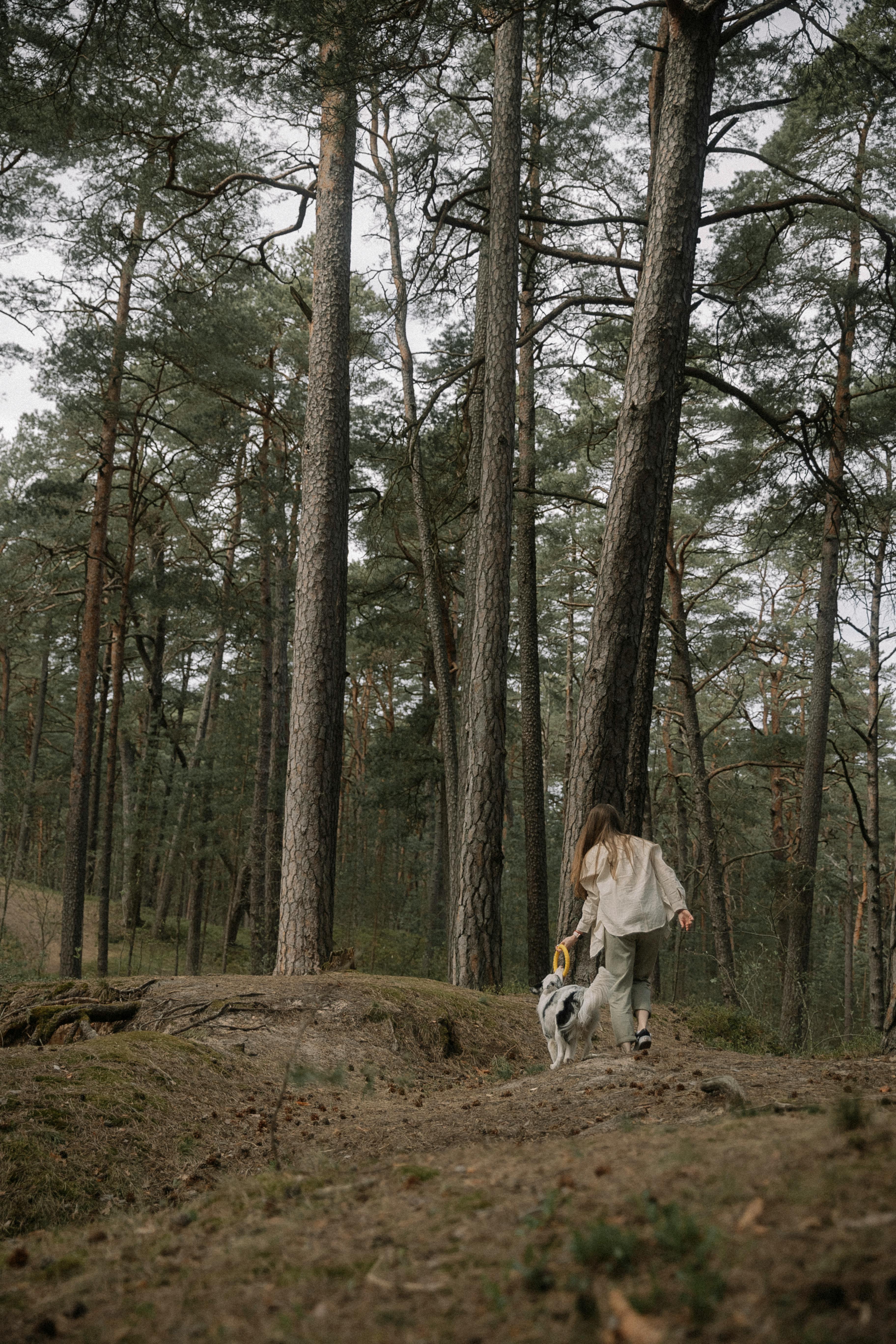 Woman Playing with a Dog in a Forest