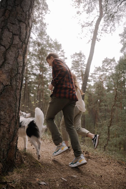 Ilmainen kuvapankkikuva tunnisteilla koira, lomalla, metsä