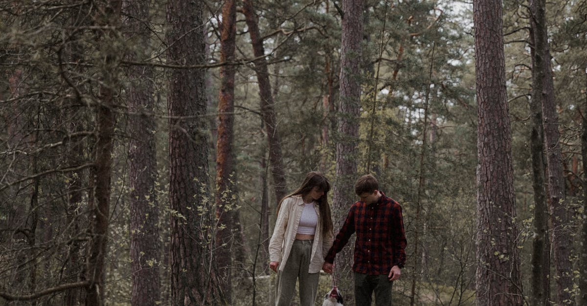 A couple enjoys a peaceful walk with their dog through a lush forest path, capturing nature's tranquility.
