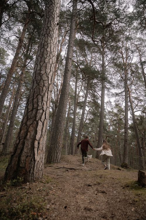 Free A couple holding hands and running with their dog through a lush forest trail. Stock Photo