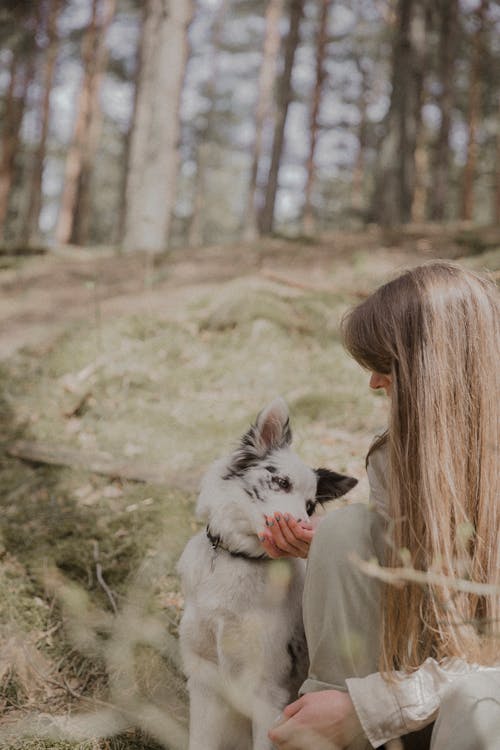 Brunette Feeding a Dog on a Walk in the Woods